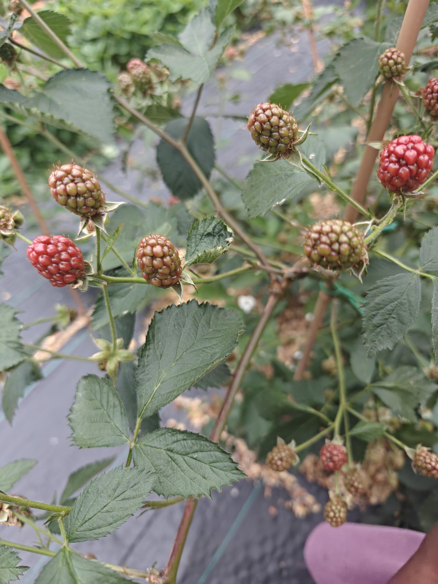 51df1b10 b504 44f1 ae62 20234865dfd1