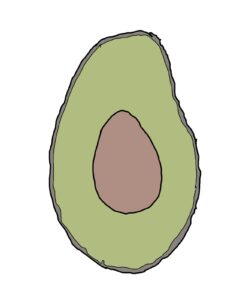 Avocado