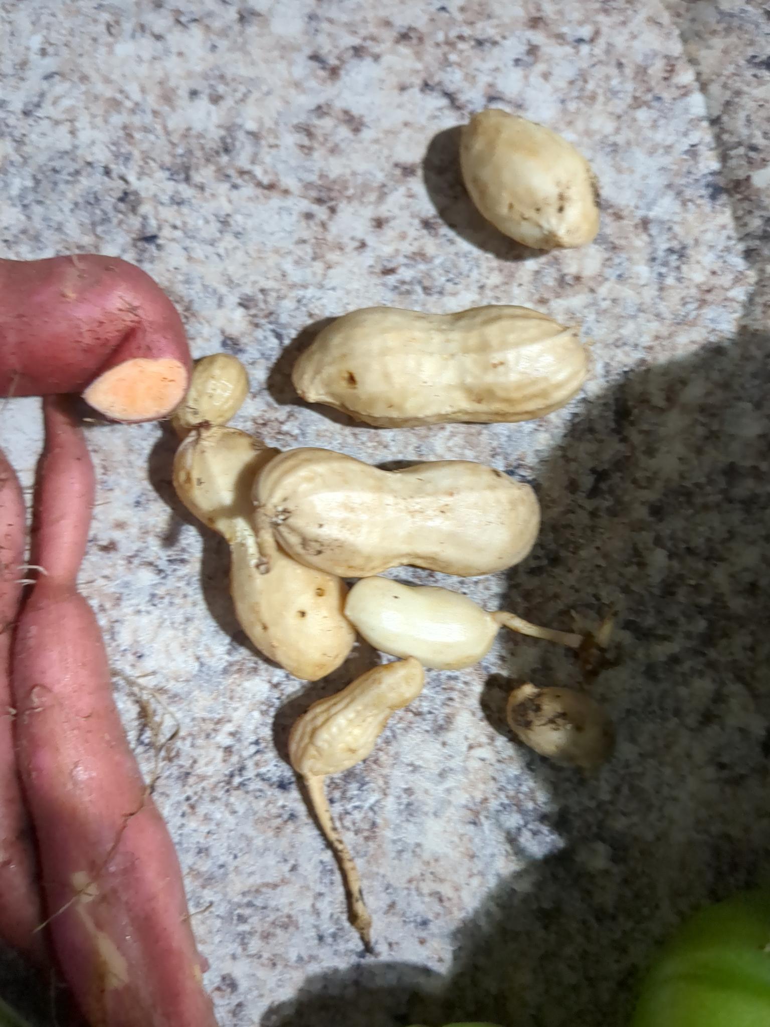 ce8698c6 7073 4bc6 9c13 e30f85f9da79